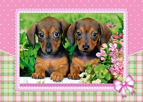 Пазл Щенки таксы, 120 элементов (Castorland, C120-13142)